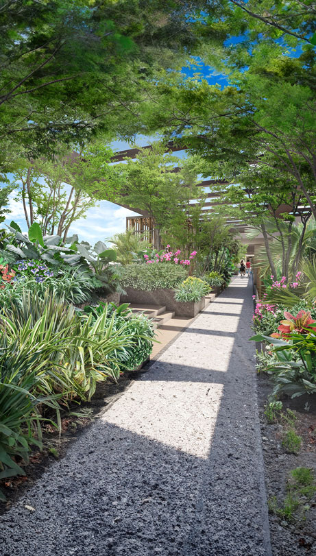 SNN Estates Duomont Roof Deck Amenities